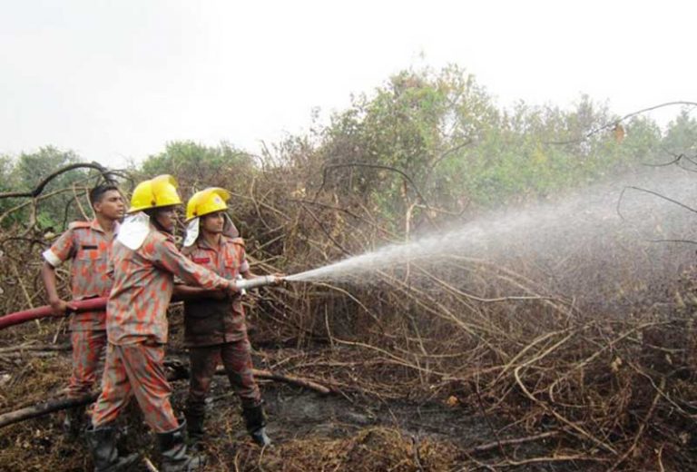 Forest fire in the Bangladesh Sundarbans