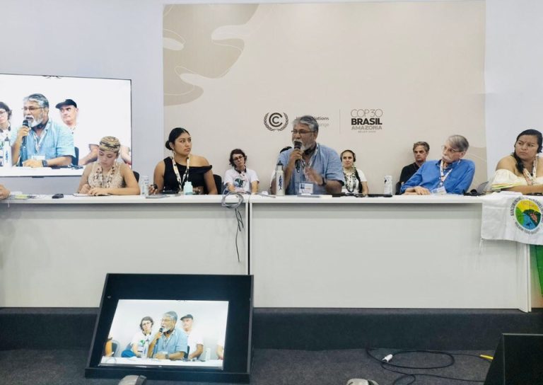 Panel Discussion: “Hydropower is a False Climate Solution that Produces Counterfeit Carbon Credits”