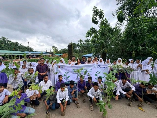 Tree Planting and Seedling Distribution Across Different Coastal Areas of Bangladesh